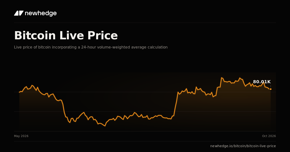 Bitcoin Live Price Chart | Newhedge